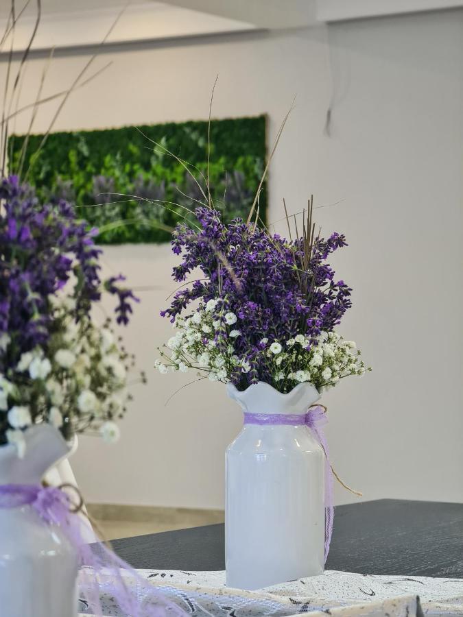 Pensiunea Lavanda, Piatra-Neamt Piatra Neamţ Exterior foto